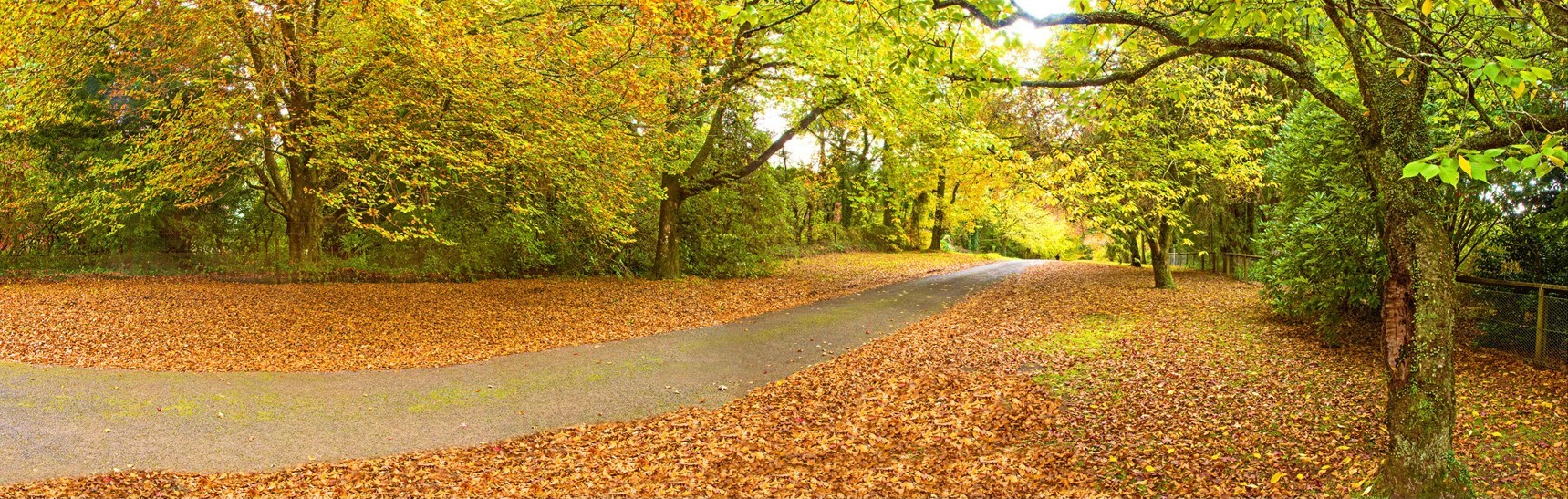 Autumn on Mount Wilson Avenue