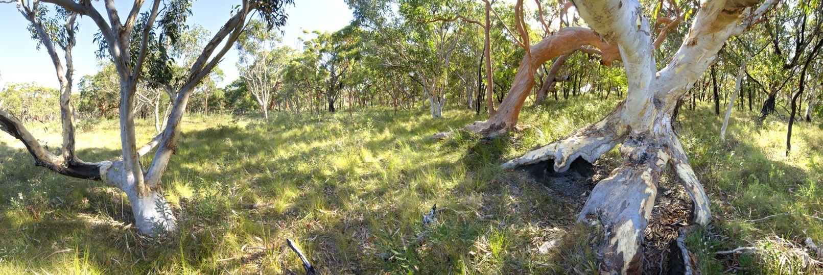 Munmorah Recreation Park