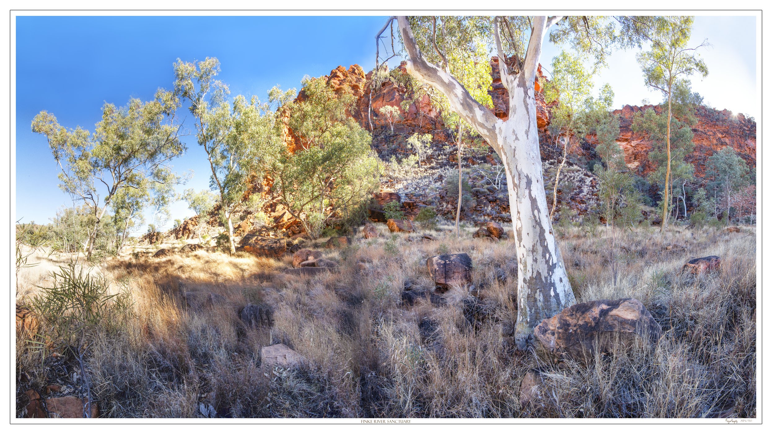 Ghost Gum Gully