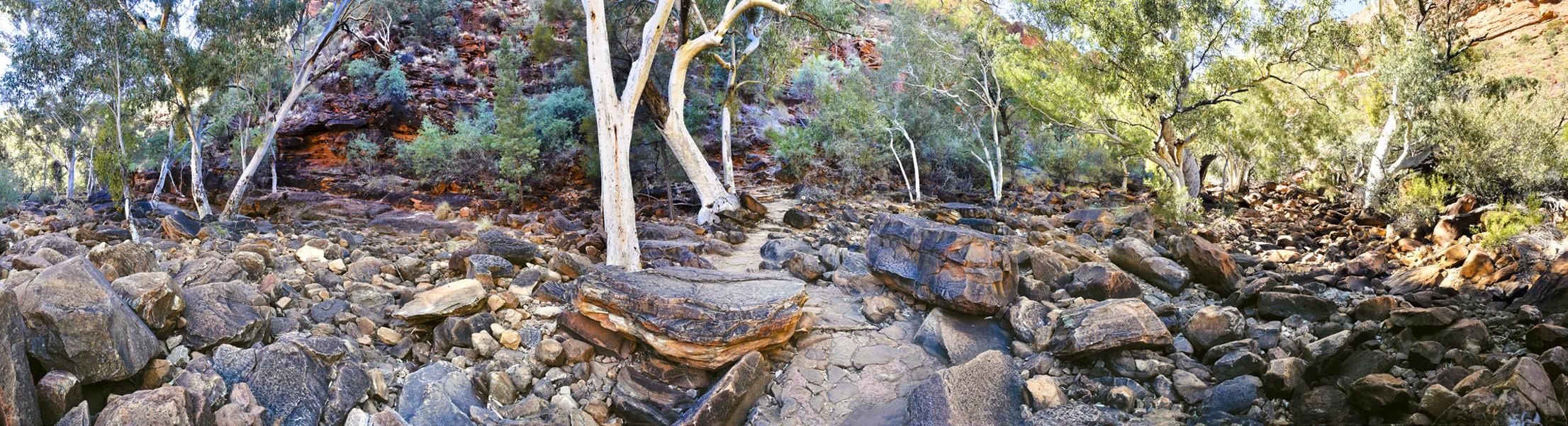 Kings Canyon Lower Walk