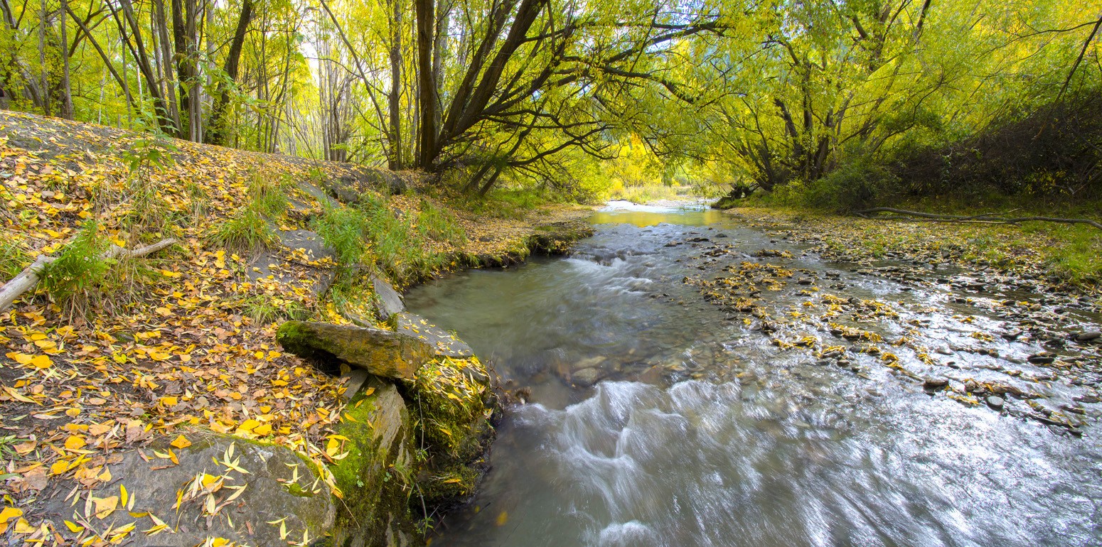 Arrowtown Stream