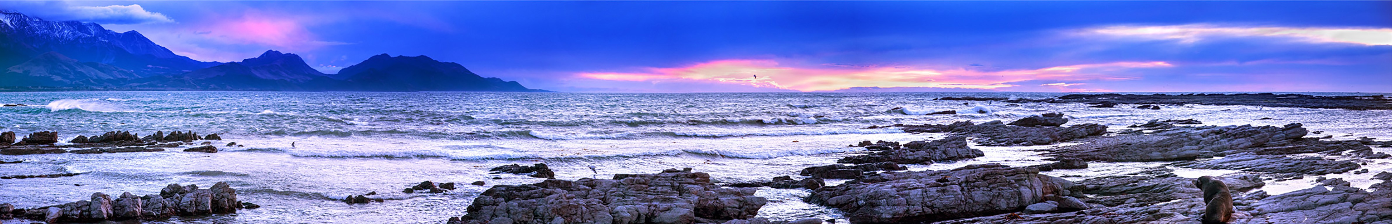 Kaikoura Harbour and Seal