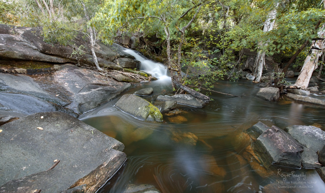 Fig Tree Pool 