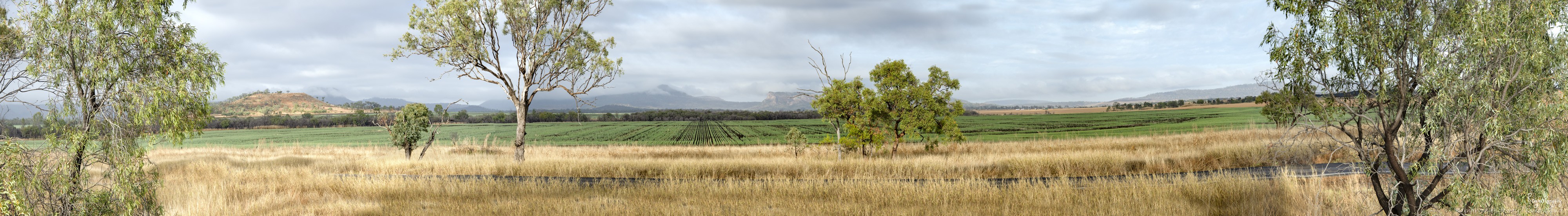 The Carnarvon Highway into Queensland 