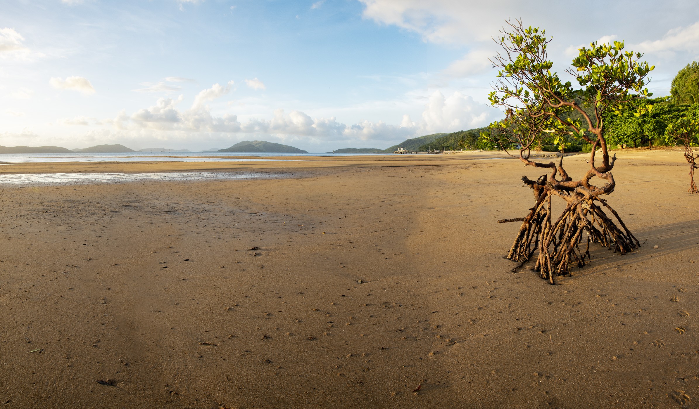 Palm Island Main Beach