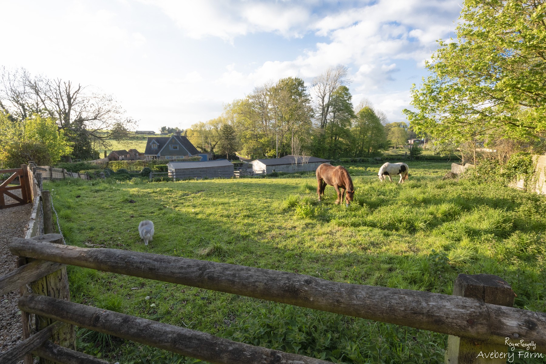 Avebery Farm