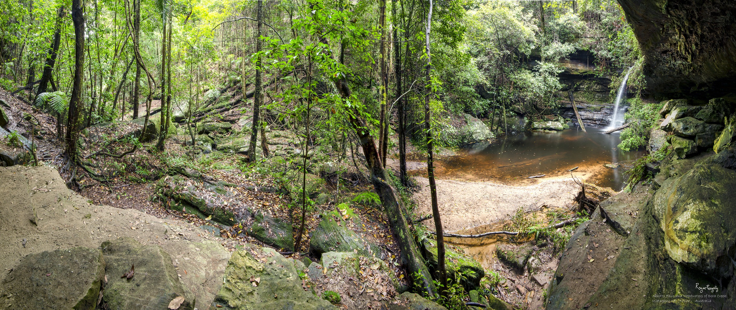 Abbotts Falls and headwaters of Dora Creek