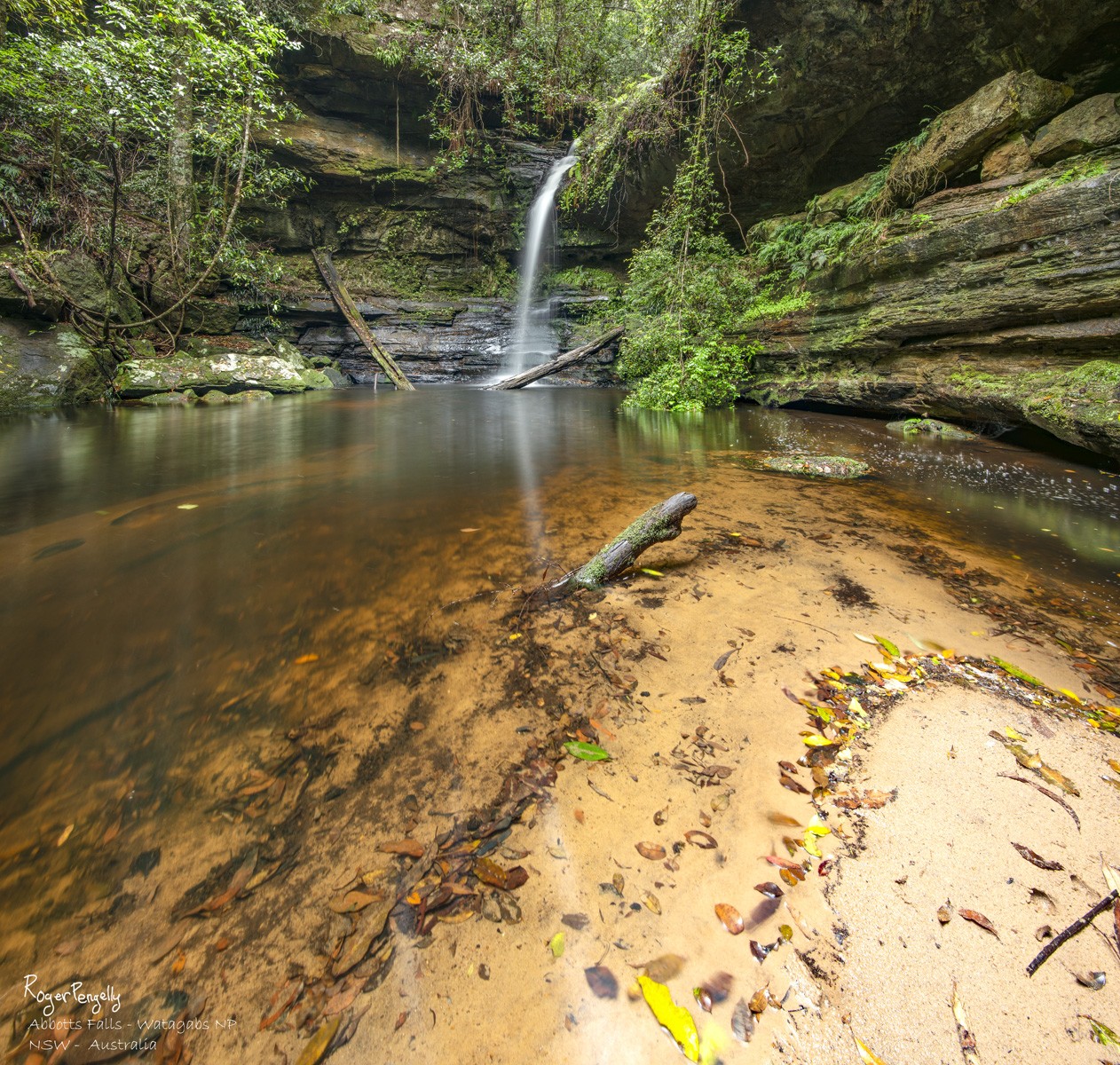 Abbotts Falls 