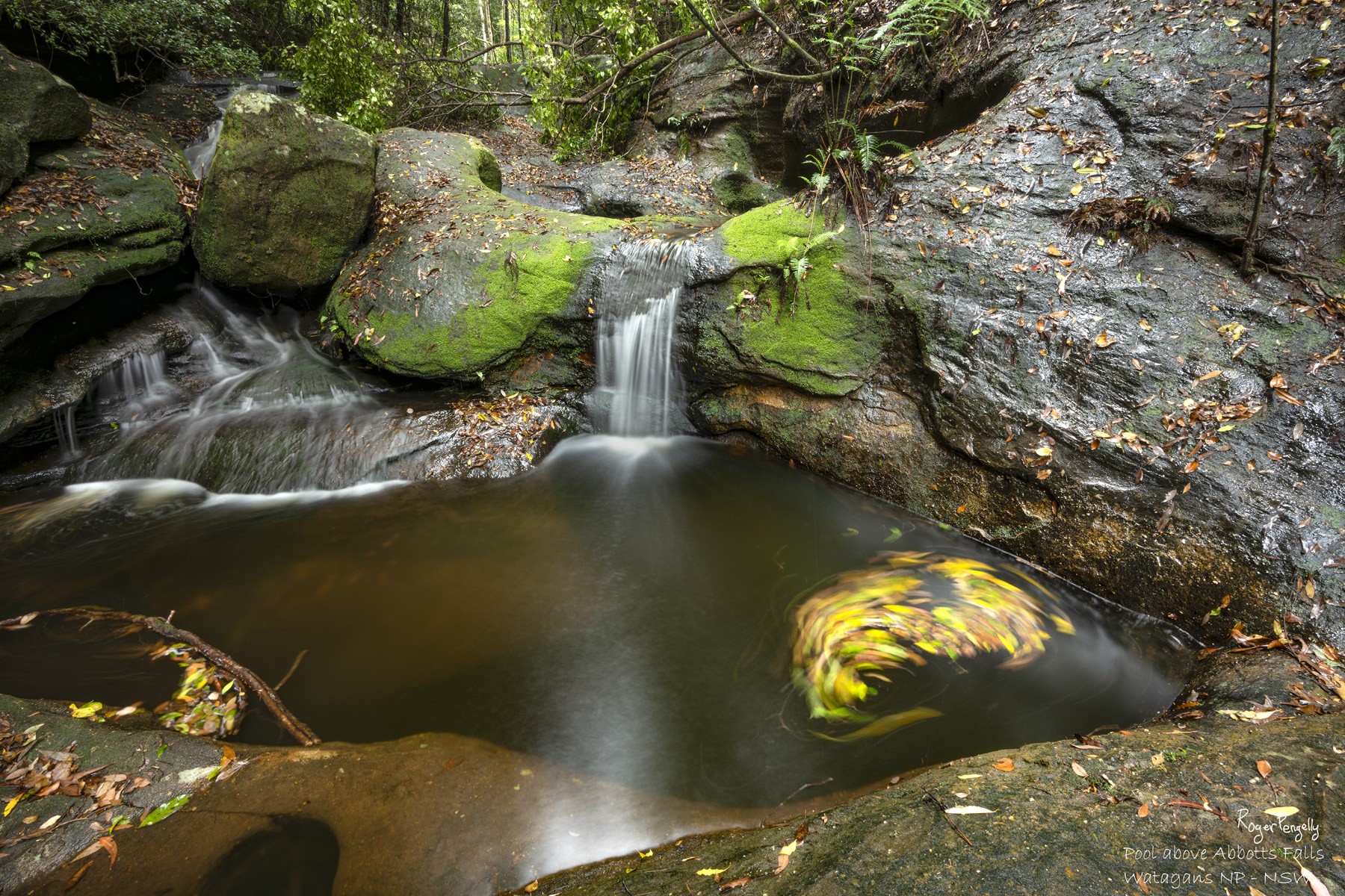 Pool Above Abbotts Falls 